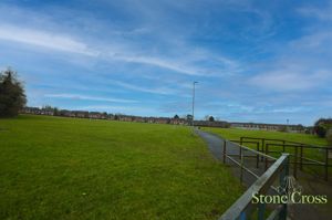 Field- click for photo gallery